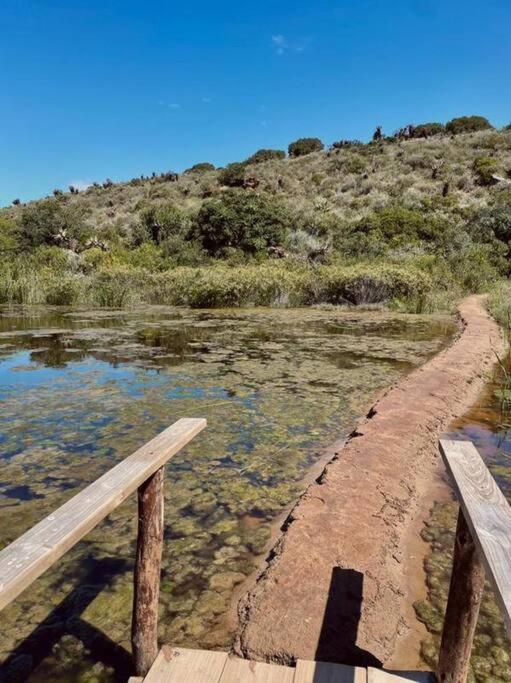 Malgas Owl Cottage - Living The Breede מראה חיצוני תמונה
